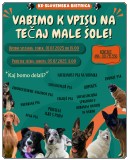 vabilo vpisi poletje 2025