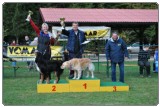 Turnir solanih psov 2011 6272580193 33cc061cdf b Turnir solanih psov 2011 6272580193 33cc061cdf b