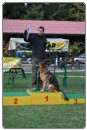 Turnir solanih psov 2011 6272580879 4651d69912 z Turnir solanih psov 2011 6272580879 4651d69912 z