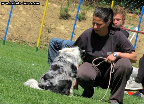 3. tekma za drzavno prvenstvo v agility 2012 22