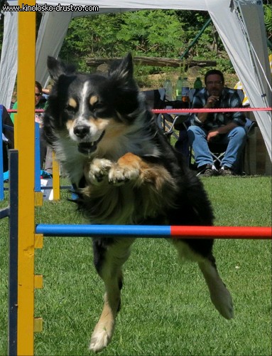 3. tekma za drzavno prvenstvo v agility 2012 23