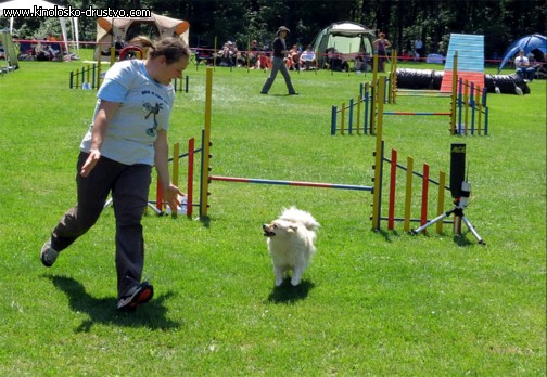 3. tekma za drzavno prvenstvo v agility 2012 25