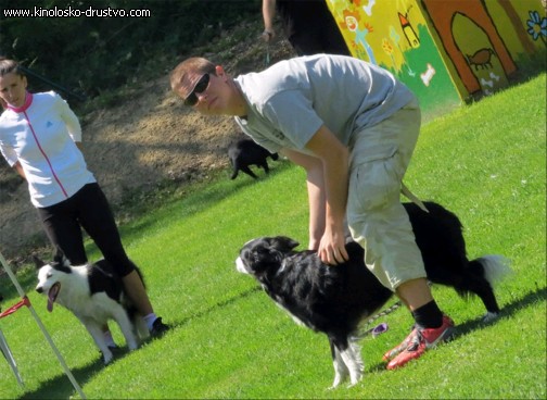 3. tekma za drzavno prvenstvo v agility 2012 26