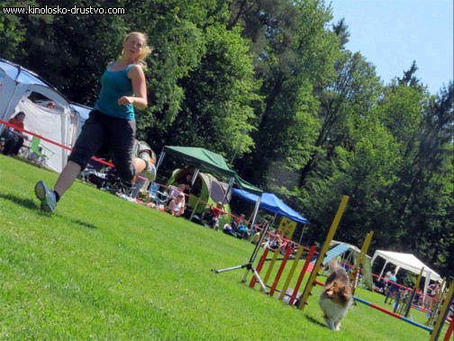 3. tekma za drzavno prvenstvo v agility 2012 27