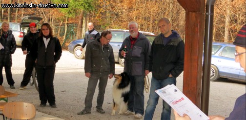 Izpiti solanih psov jesen 2012 izpiti034
