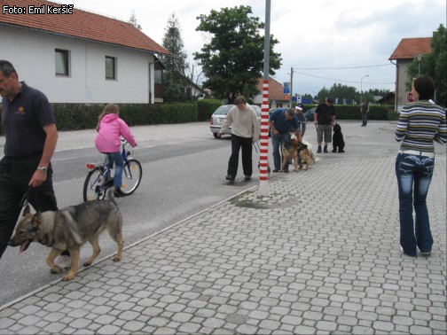 Tecaj solanja psov Urbano okolje 2