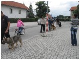 Tecaj solanja psov Urbano okolje 2 Tecaj solanja psov Urbano okolje 2