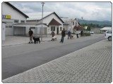 Tecaj solanja psov Urbano okolje 3 Tecaj solanja psov Urbano okolje 3