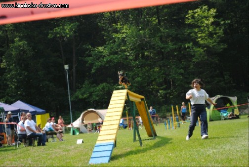 Agility 2011 - KD Slovenska Bistrica DSC 1250