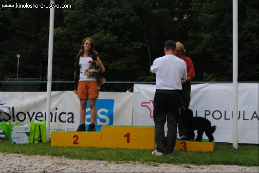 Agility 2011 - KD Slovenska Bistrica DSC 1268