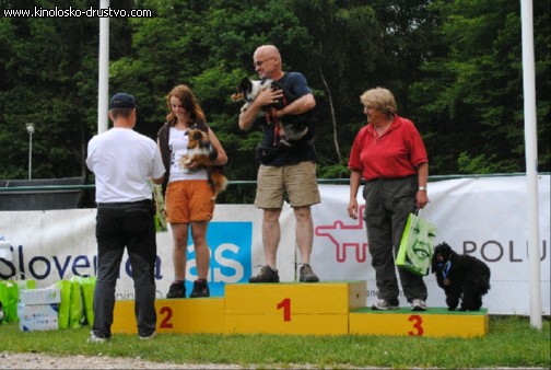 Agility 2011 - KD Slovenska Bistrica DSC 1274