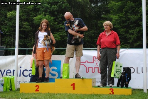 Agility 2011 - KD Slovenska Bistrica DSC 1278