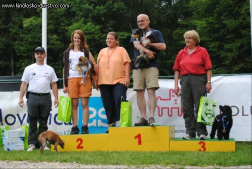 Agility 2011 - KD Slovenska Bistrica DSC 1282