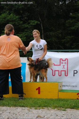 Agility 2011 - KD Slovenska Bistrica DSC 1289