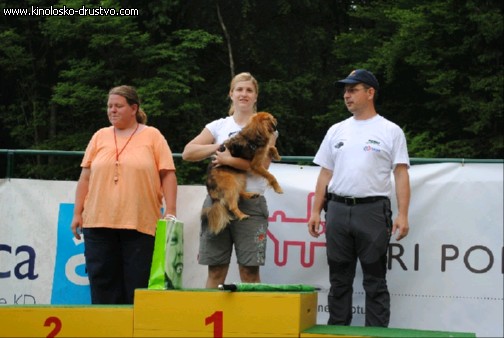 Agility 2011 - KD Slovenska Bistrica DSC 1296