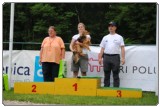 Agility 2011 - KD Slovenska Bistrica DSC 0003