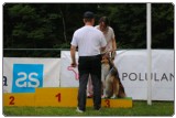 Agility 2011 - KD Slovenska Bistrica DSC 0011