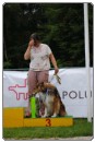 Agility 2011 - KD Slovenska Bistrica DSC 0012