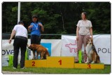 Agility 2011 - KD Slovenska Bistrica DSC 0014 Agility 2011 - KD Slovenska Bistrica DSC 0014