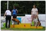 Agility 2011 - KD Slovenska Bistrica DSC 0014