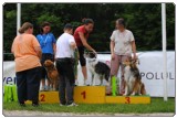 Agility 2011 - KD Slovenska Bistrica DSC 0018