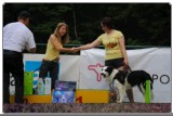 Agility 2011 - KD Slovenska Bistrica DSC 0070