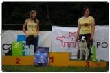 Agility 2011 - KD Slovenska Bistrica DSC 0071 Agility 2011 - KD Slovenska Bistrica DSC 0071