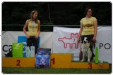 Agility 2011 - KD Slovenska Bistrica DSC 0071