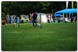 Agility 2011 - KD Slovenska Bistrica DSC 0335