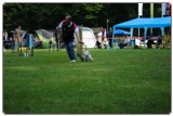 Agility 2011 - KD Slovenska Bistrica DSC 0338