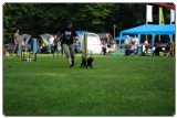 Agility 2011 - KD Slovenska Bistrica DSC 0354