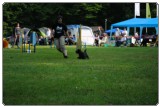 Agility 2011 - KD Slovenska Bistrica DSC 0355