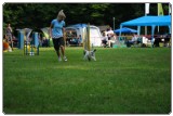 Agility 2011 - KD Slovenska Bistrica DSC 0364