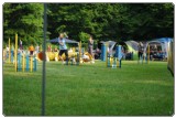 Agility 2011 - KD Slovenska Bistrica DSC 0365