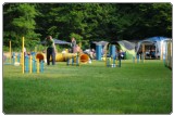 Agility 2011 - KD Slovenska Bistrica DSC 0392