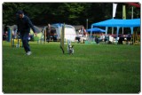 Agility 2011 - KD Slovenska Bistrica DSC 0401