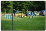 Agility 2011 - KD Slovenska Bistrica DSC 0402