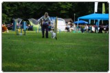 Agility 2011 - KD Slovenska Bistrica DSC 0407