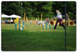Agility 2011 - KD Slovenska Bistrica DSC 0411 Agility 2011 - KD Slovenska Bistrica DSC 0411
