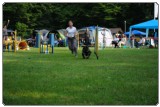 Agility 2011 - KD Slovenska Bistrica DSC 0417