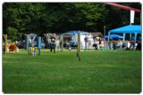 Agility 2011 - KD Slovenska Bistrica DSC 0418