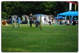 Agility 2011 - KD Slovenska Bistrica DSC 0420