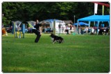 Agility 2011 - KD Slovenska Bistrica DSC 0426