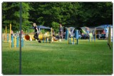 Agility 2011 - KD Slovenska Bistrica DSC 0431