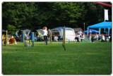 Agility 2011 - KD Slovenska Bistrica DSC 0432