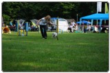 Agility 2011 - KD Slovenska Bistrica DSC 0440