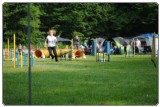 Agility 2011 - KD Slovenska Bistrica DSC 0443