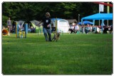 Agility 2011 - KD Slovenska Bistrica DSC 0450