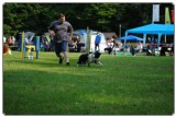 Agility 2011 - KD Slovenska Bistrica DSC 0494