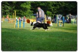 Agility 2011 - KD Slovenska Bistrica DSC 0495